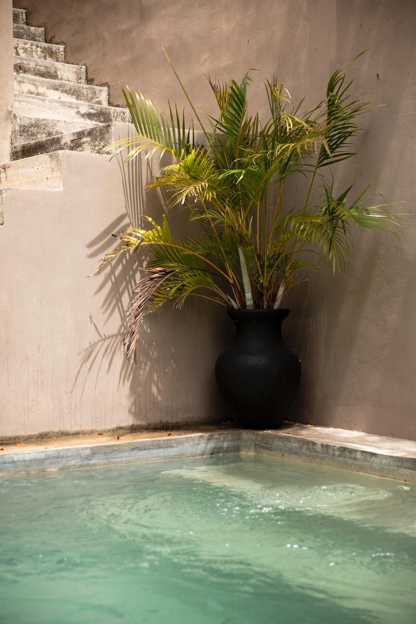 Proyecto previo · Quintana Roo